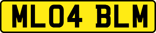 ML04BLM