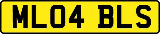 ML04BLS