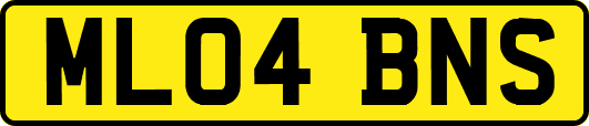 ML04BNS