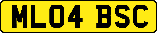 ML04BSC