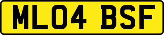 ML04BSF