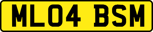 ML04BSM