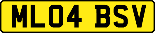 ML04BSV