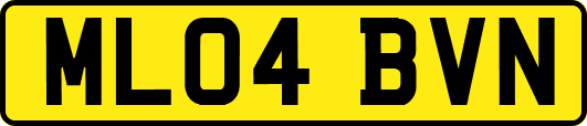 ML04BVN