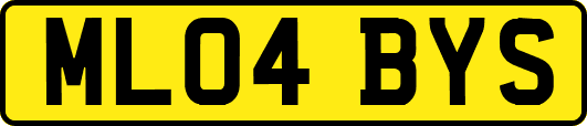 ML04BYS