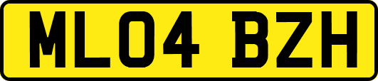 ML04BZH
