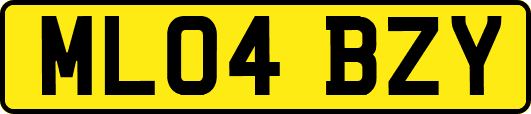ML04BZY