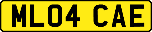 ML04CAE