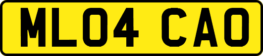 ML04CAO