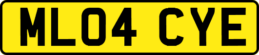ML04CYE