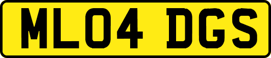 ML04DGS