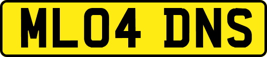 ML04DNS