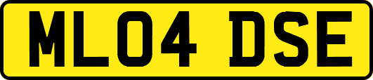 ML04DSE