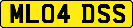 ML04DSS