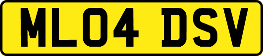 ML04DSV