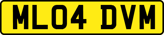 ML04DVM