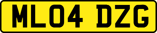 ML04DZG