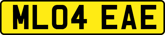 ML04EAE