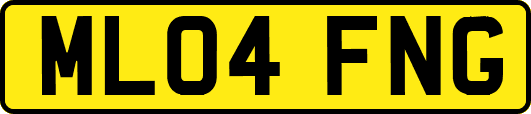 ML04FNG