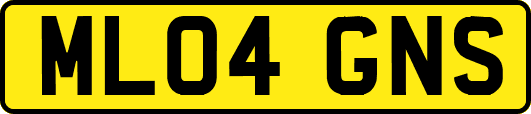 ML04GNS