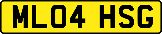 ML04HSG