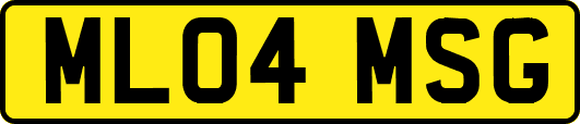 ML04MSG