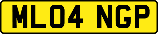 ML04NGP