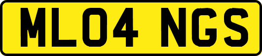 ML04NGS
