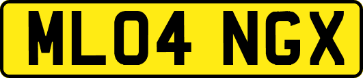 ML04NGX