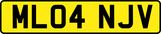 ML04NJV