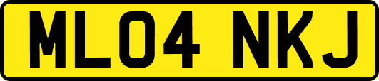 ML04NKJ