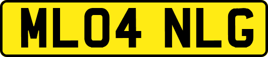 ML04NLG