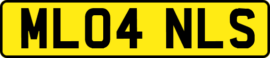 ML04NLS