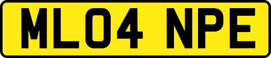 ML04NPE