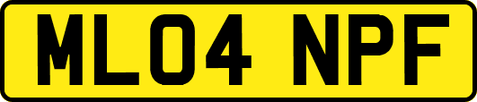 ML04NPF