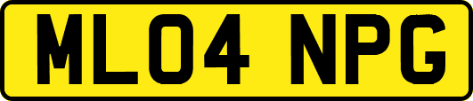 ML04NPG