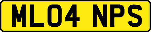 ML04NPS