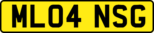 ML04NSG