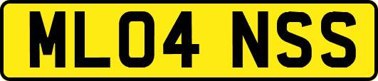 ML04NSS