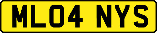 ML04NYS
