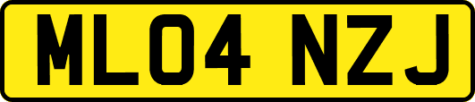 ML04NZJ