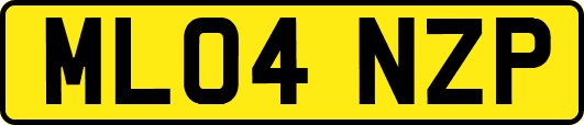 ML04NZP