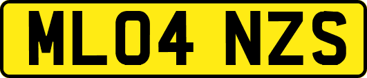 ML04NZS