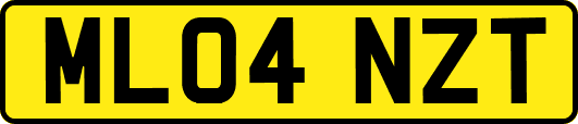 ML04NZT