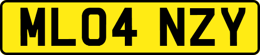 ML04NZY
