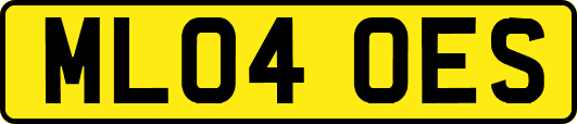 ML04OES