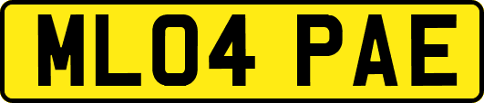 ML04PAE