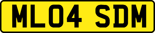 ML04SDM