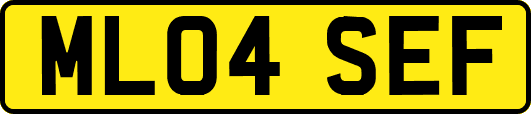 ML04SEF