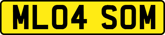 ML04SOM